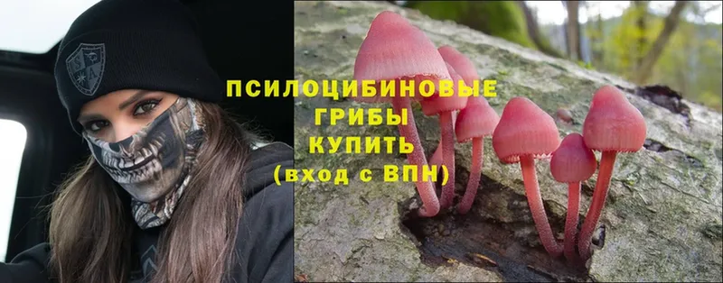 Галлюциногенные грибы Magic Shrooms  Заволжье 